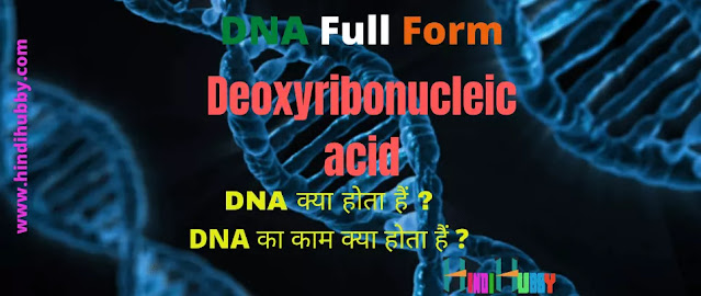 DNA क्या होता हैं DNA Full Form in Hindi| DNA Full Form